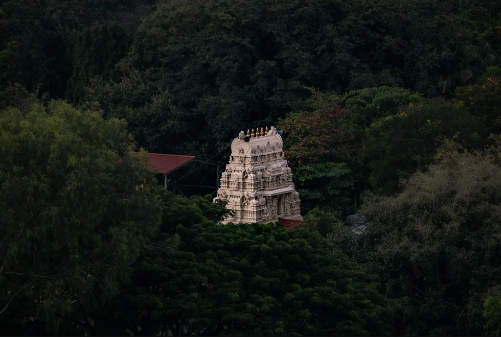 Ahobilam Temple Top View